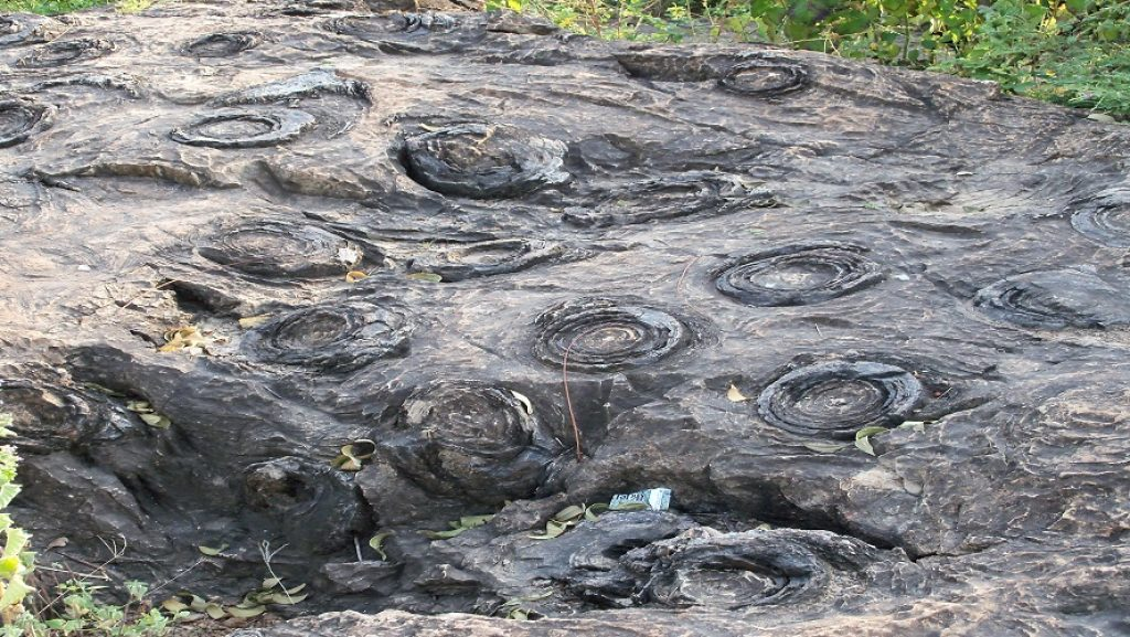 Salkhan Fossil Park